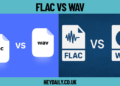 FLAC vs WAV: Which Audio Format Is Right for You?