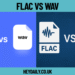 FLAC vs WAV: Which Audio Format Is Right for You?